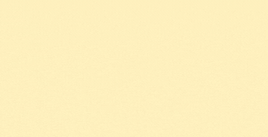 Master BA Public Nonprofit Management teaser gif hellgelb