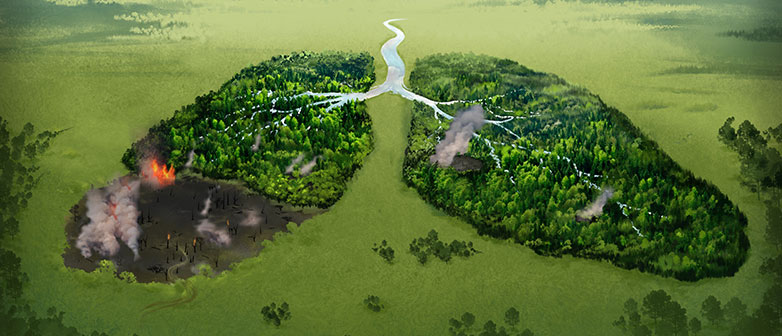 HSLU Applied Data Science im Zeichen der Nachhaltigkeit