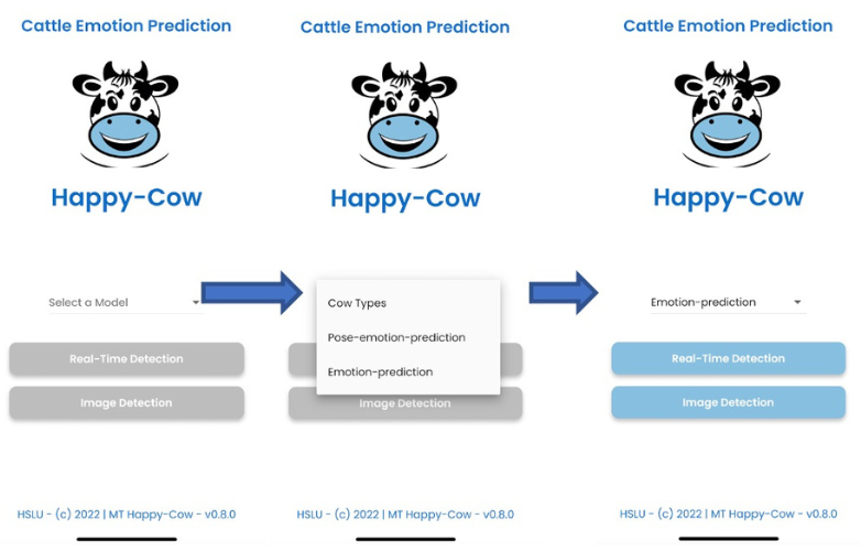 Master Data Science HSLU - Emotion recognition in the app