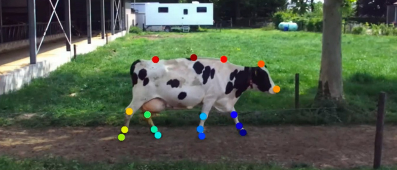 Master Data Science HSLU - Happy Cow Posenschätzung