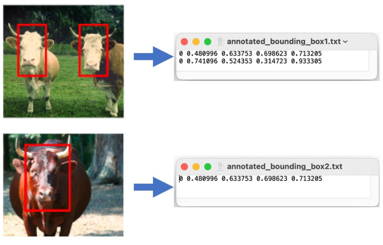Master Data Science HSLU - frames and linked files