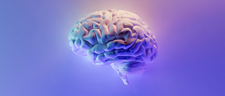 Hack-your-Brain_Data-Science_HSLU