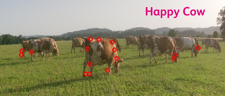 Master Data Science HSLU - Happy Cow Position estimate output