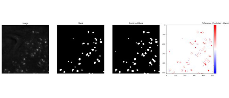 Morteza-Kiani-Haftlang-Labeling