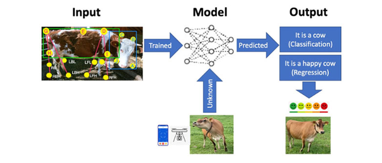 Master Data Science HSLU - Datentraining: happy oder unhappy