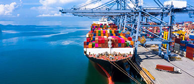 Master in Logistics and Supply Chain