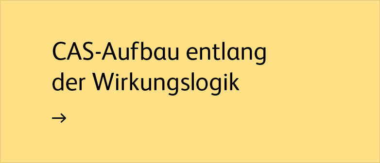 CAS-Aufbau entland der Wirkungslogik