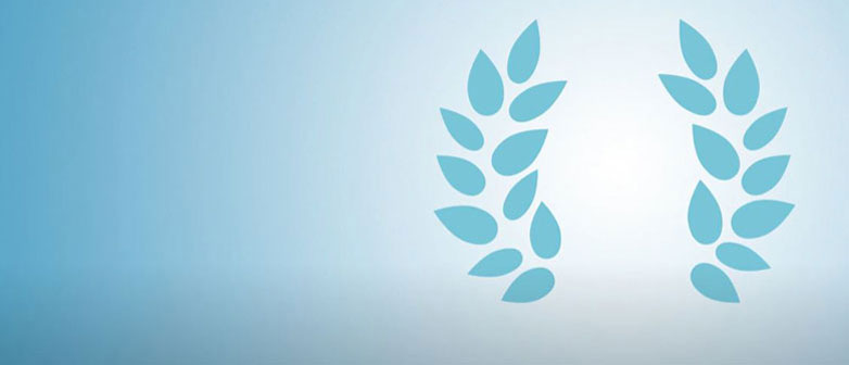 Facts and Figures MBA Luzern