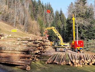 Nidwalden: Waldarbeiten im Hergiswiler Wald